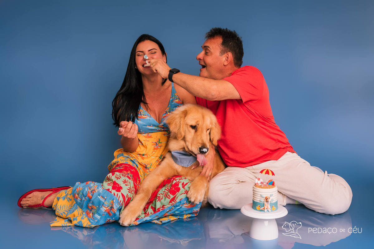 Cake Smash golden aniversário cachorro