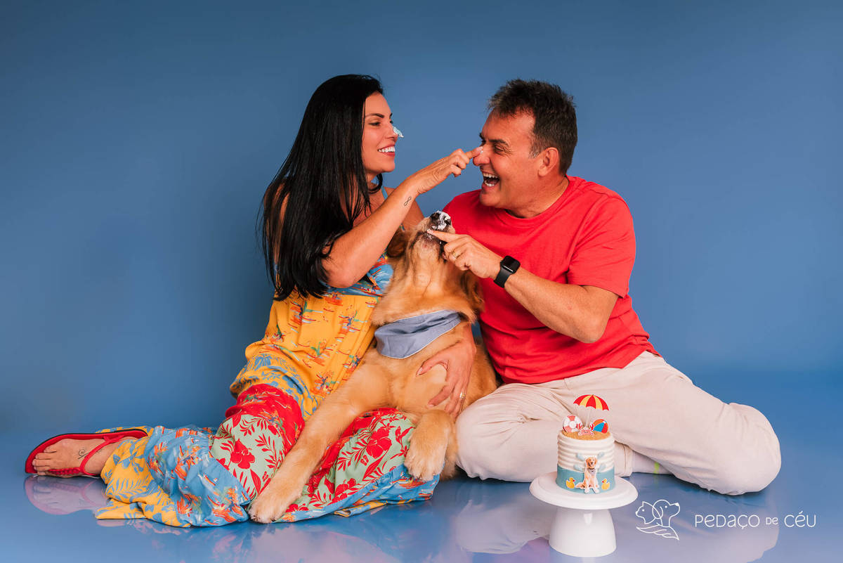 Cake Smash golden aniversário cachorro
