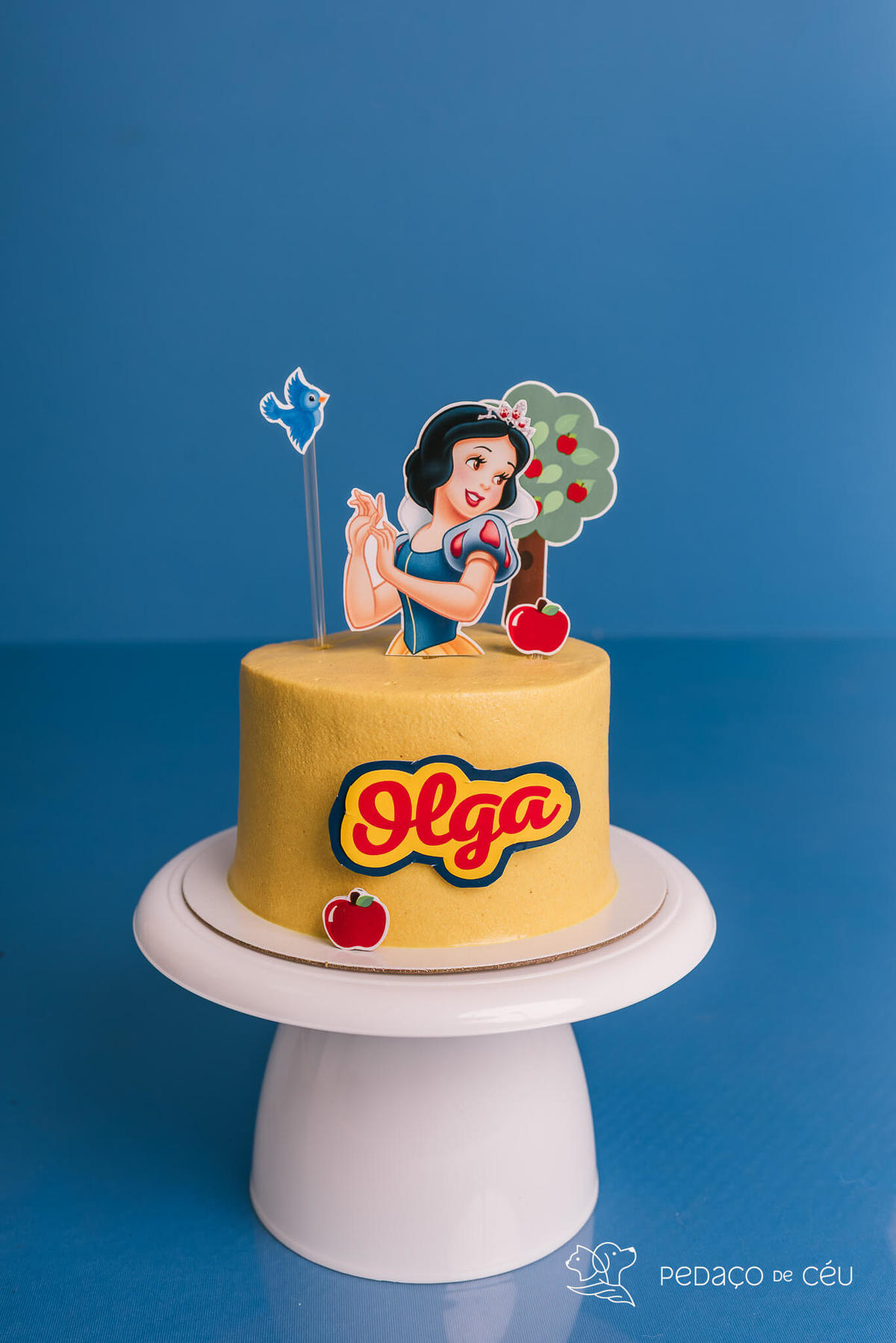 Ensaio de aniversário para pet - Foto Samoieda