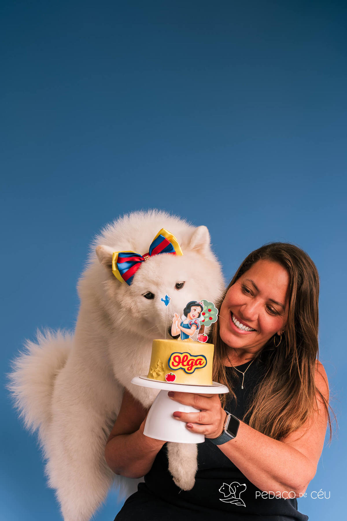 Ensaio de aniversário para pet - Foto Samoieda