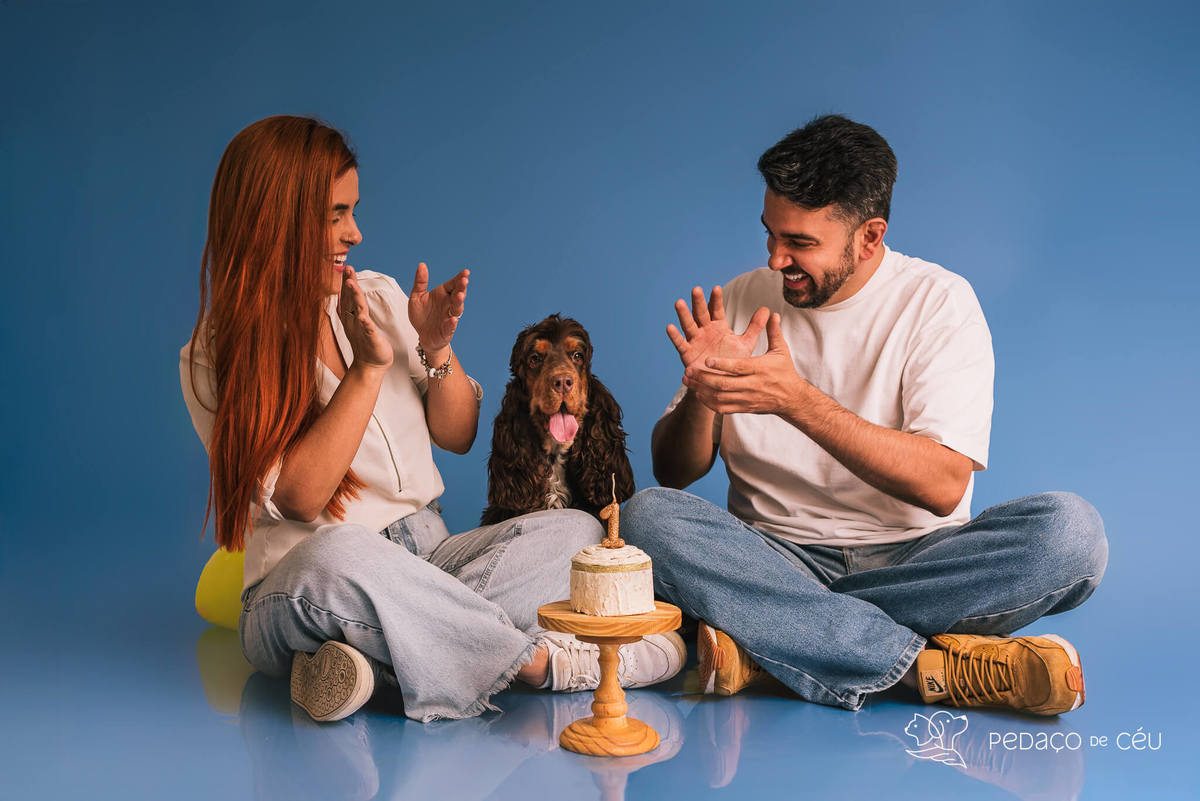 Ensaio de aniversario pet - foto Cocker spaniel