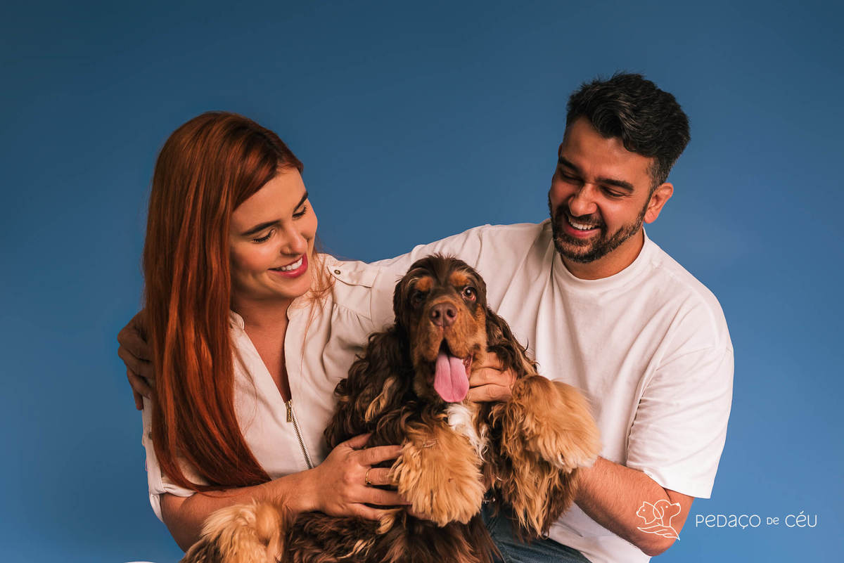 Ensaio de aniversario pet - foto Cocker spaniel