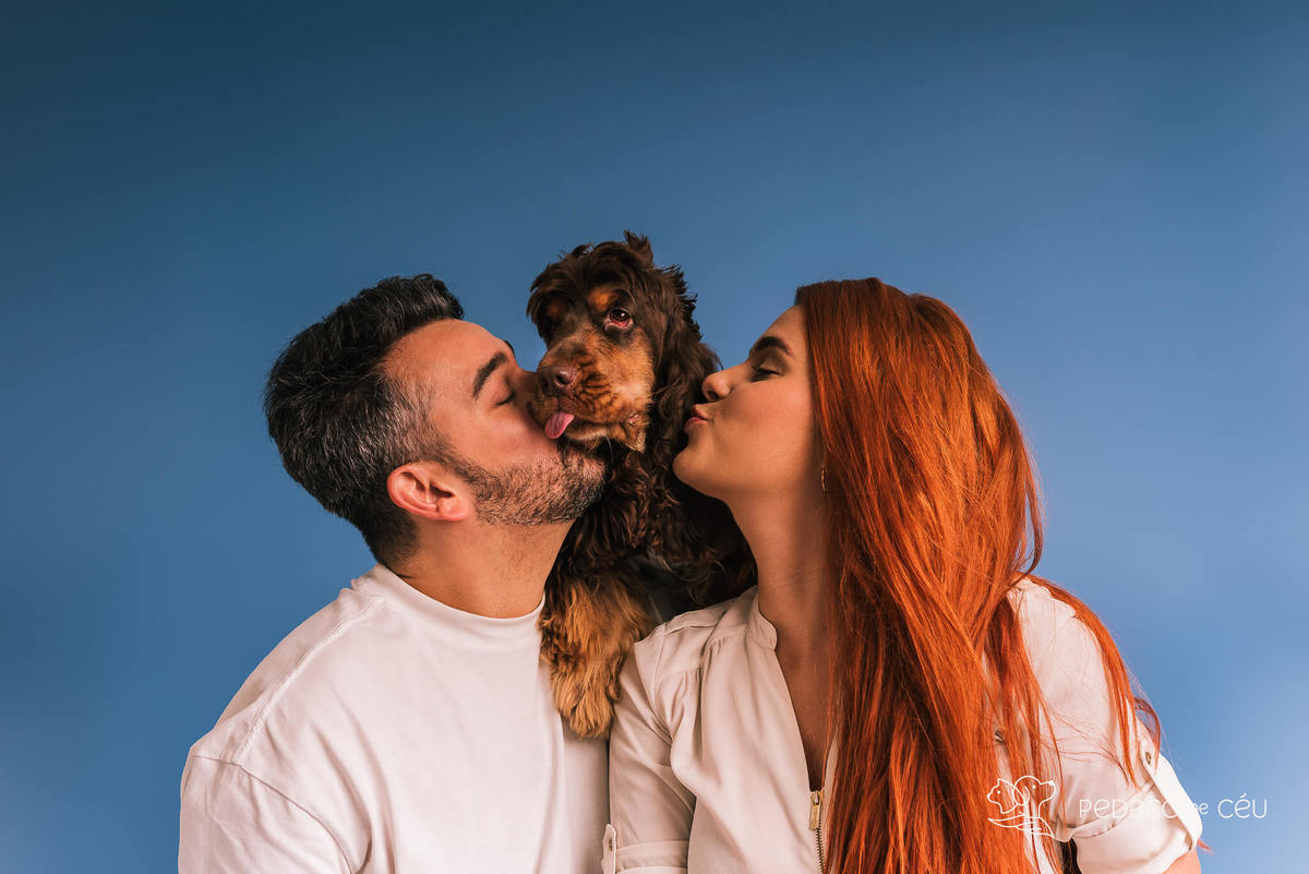 Ensaio de aniversario pet - foto Cocker spaniel