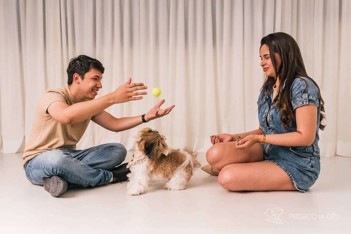 ensaio fotográfico pet no cenário Atemporal da Pedaço de Céu, Rio de Janeiro