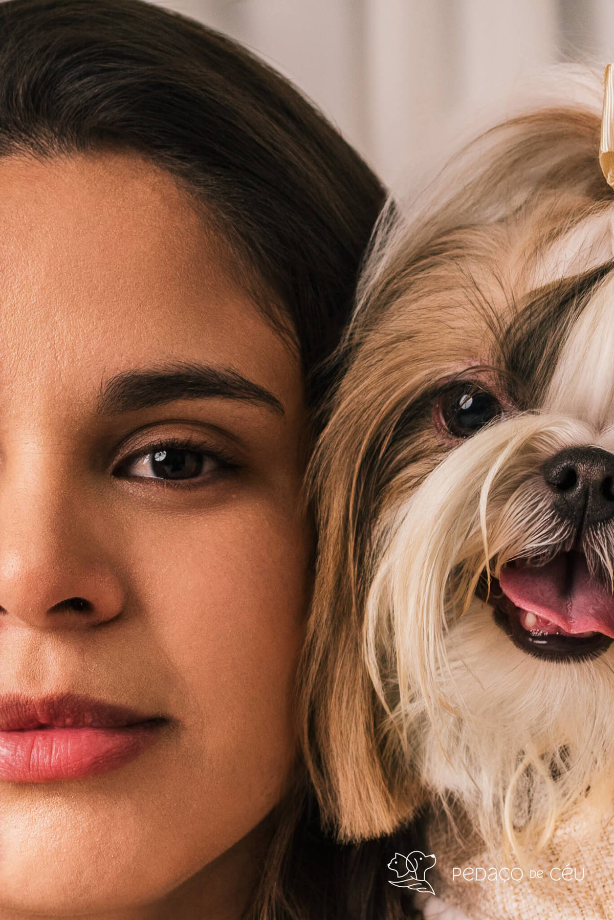 ensaio fotográfico pet no cenário Atemporal da Pedaço de Céu, Rio de Janeiro