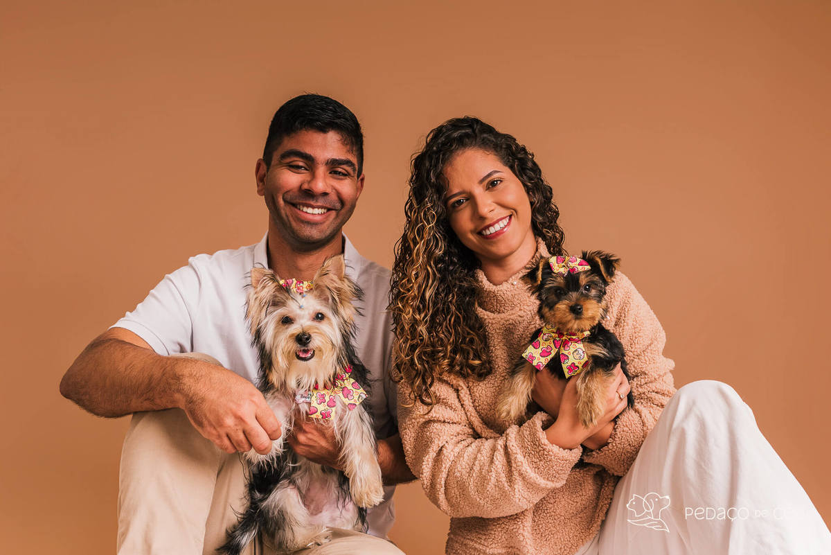 Foto de yorkshire filhote em ensaio fotográfico para pets no Rio de Janeiro