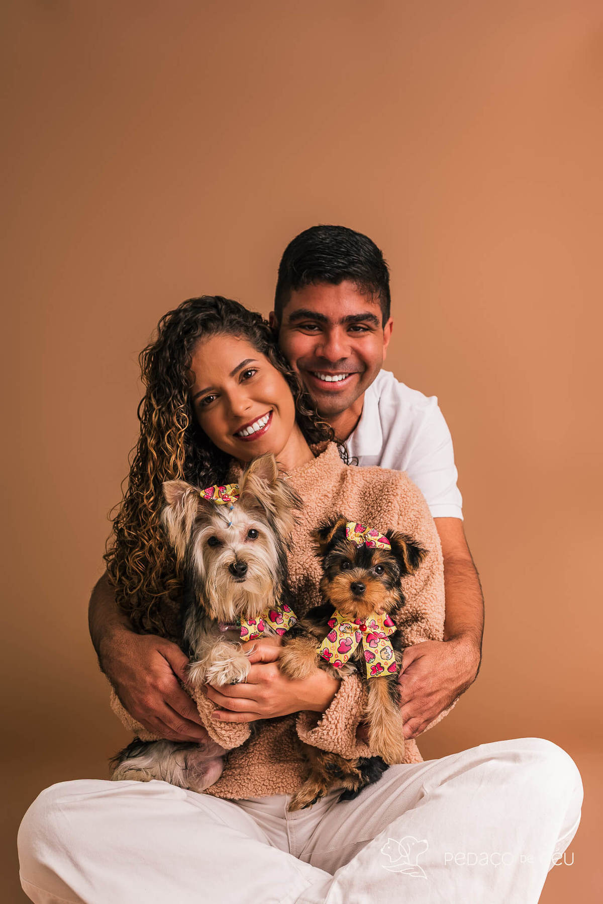 Foto de yorkshire filhote em ensaio fotográfico para pets no Rio de Janeiro