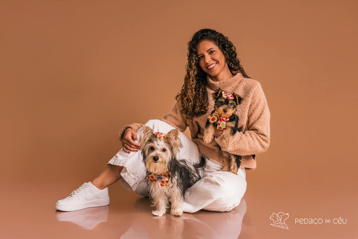 Foto de yorkshire filhote em ensaio fotográfico para pets no Rio de Janeiro