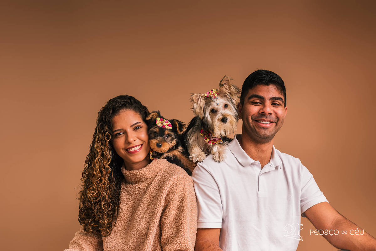 Foto de yorkshire filhote em ensaio fotográfico para pets no Rio de Janeiro