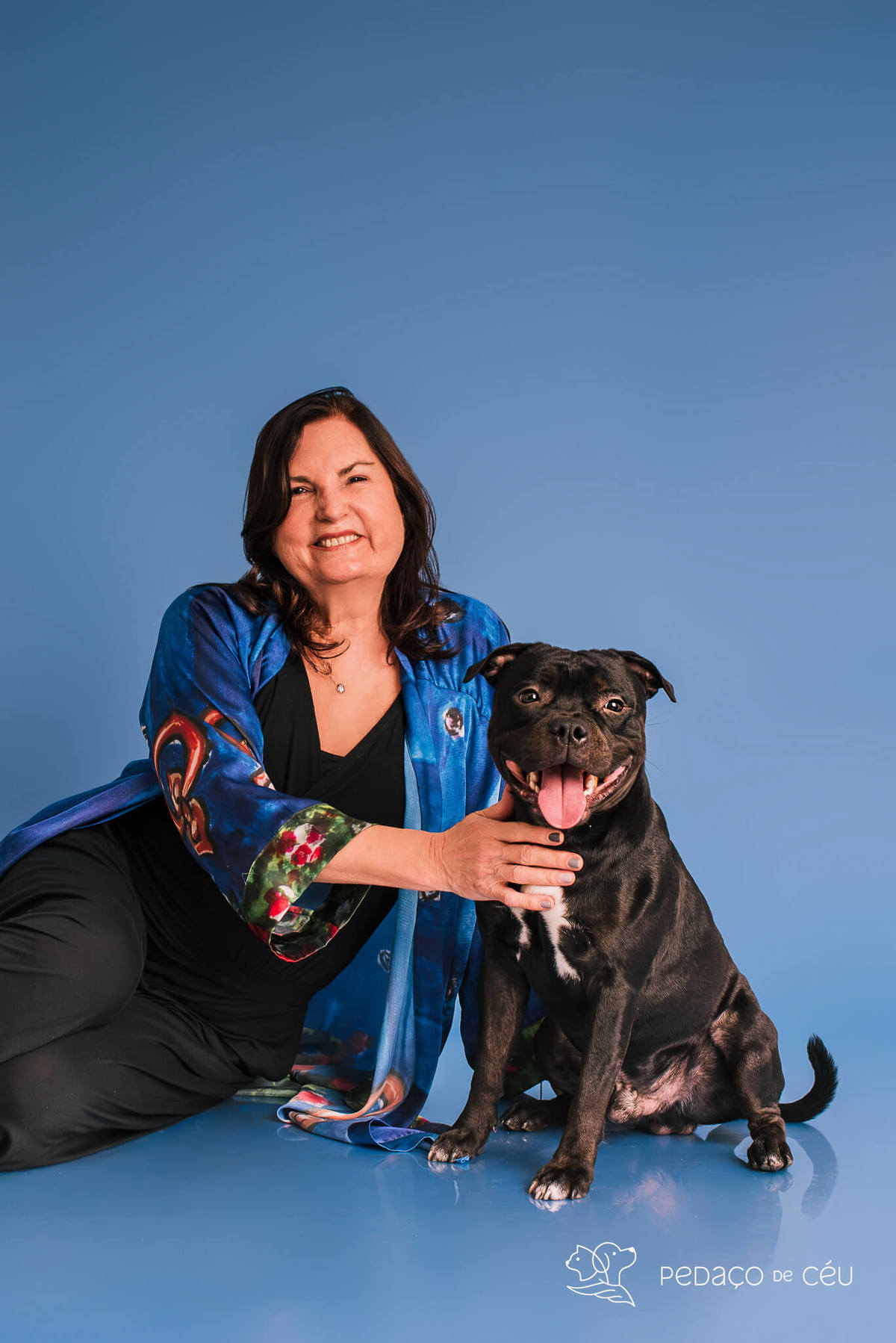Staffordshire filhote posando em ensaio fotográfico profissional para pets no Rio de Janeiro