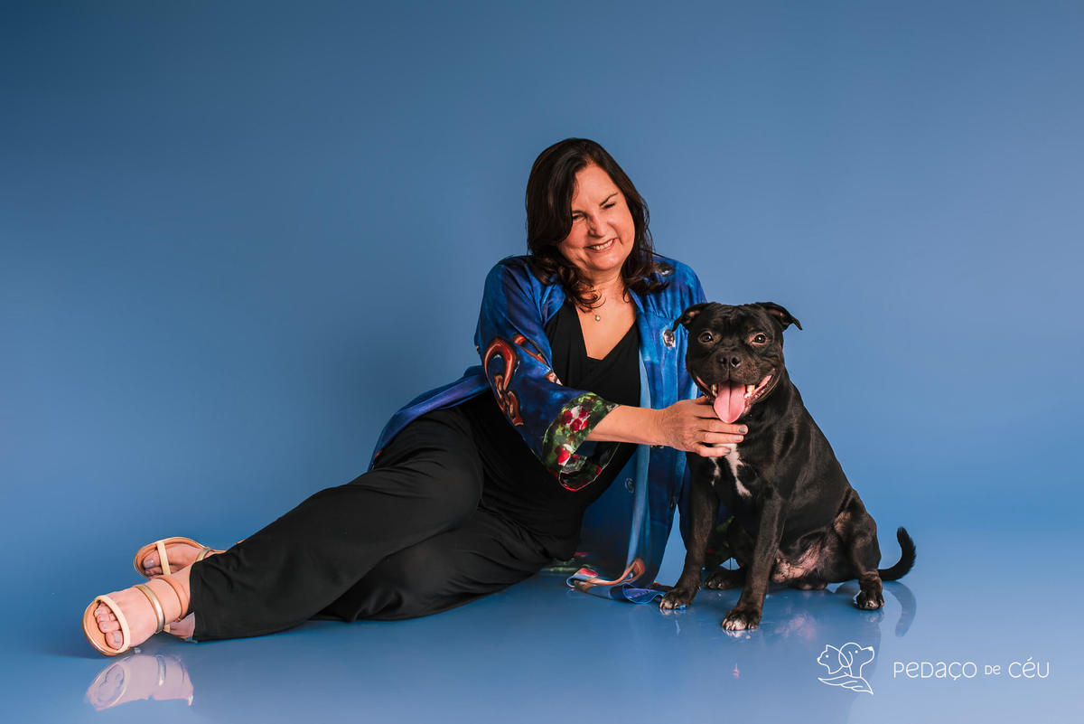 Staffordshire filhote posando em ensaio fotográfico profissional para pets no Rio de Janeiro