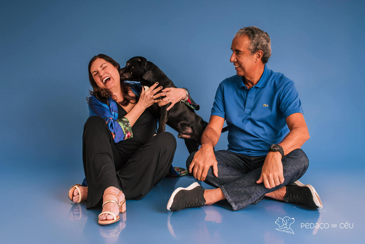 Staffordshire filhote posando em ensaio fotográfico profissional para pets no Rio de Janeiro