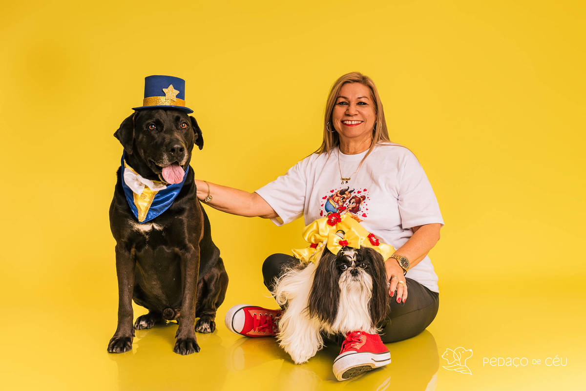 Ensaio pet de aniversário de adoção com labrador e shih tzu fantasiados de A Bela e a Fera no RJ