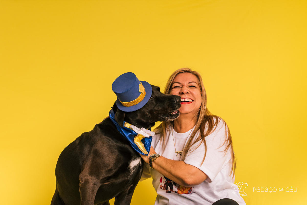 Ensaio pet de aniversário de adoção com labrador e shih tzu fantasiados de A Bela e a Fera no RJ