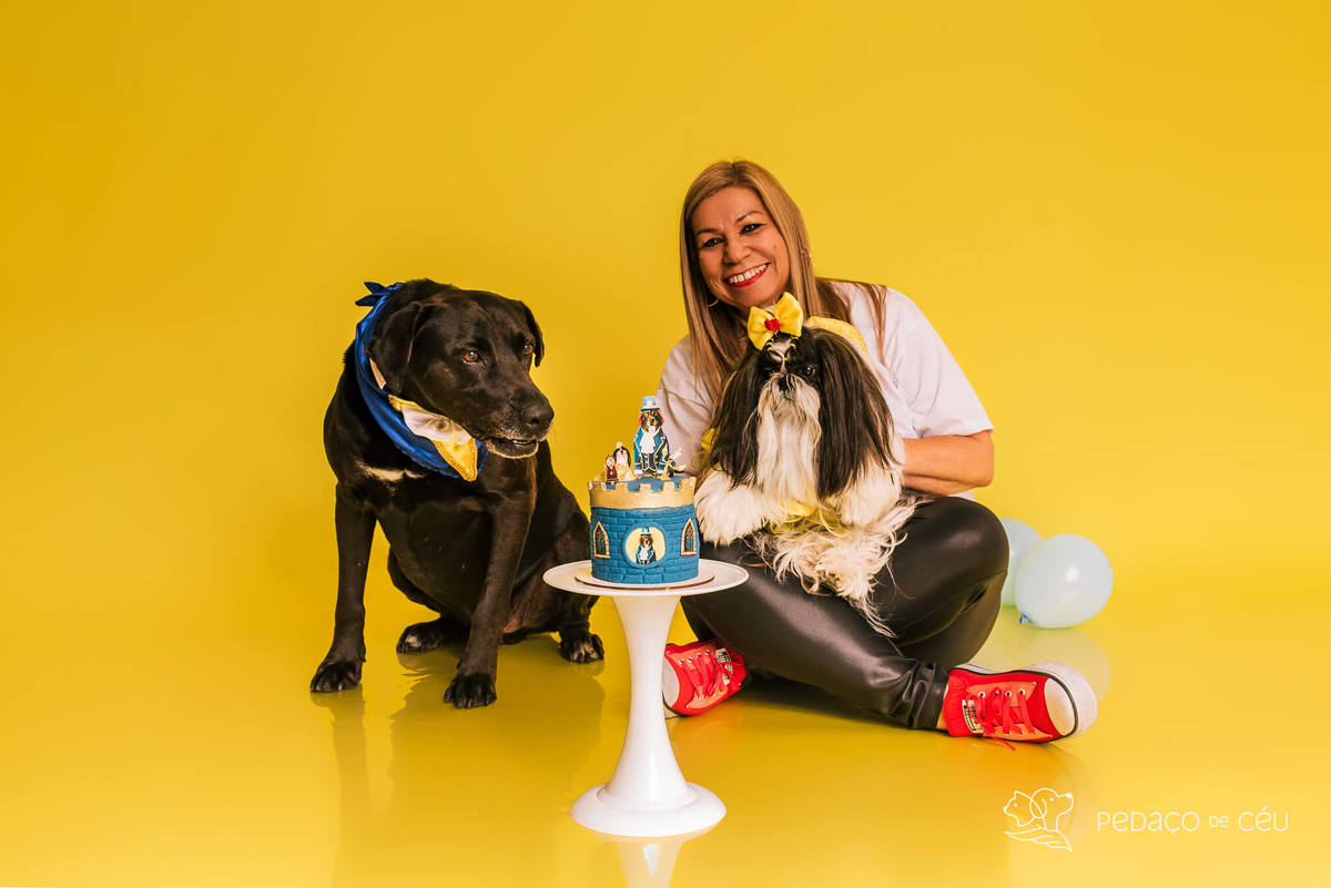 Ensaio pet de aniversário de adoção com labrador e shih tzu fantasiados de A Bela e a Fera no RJ