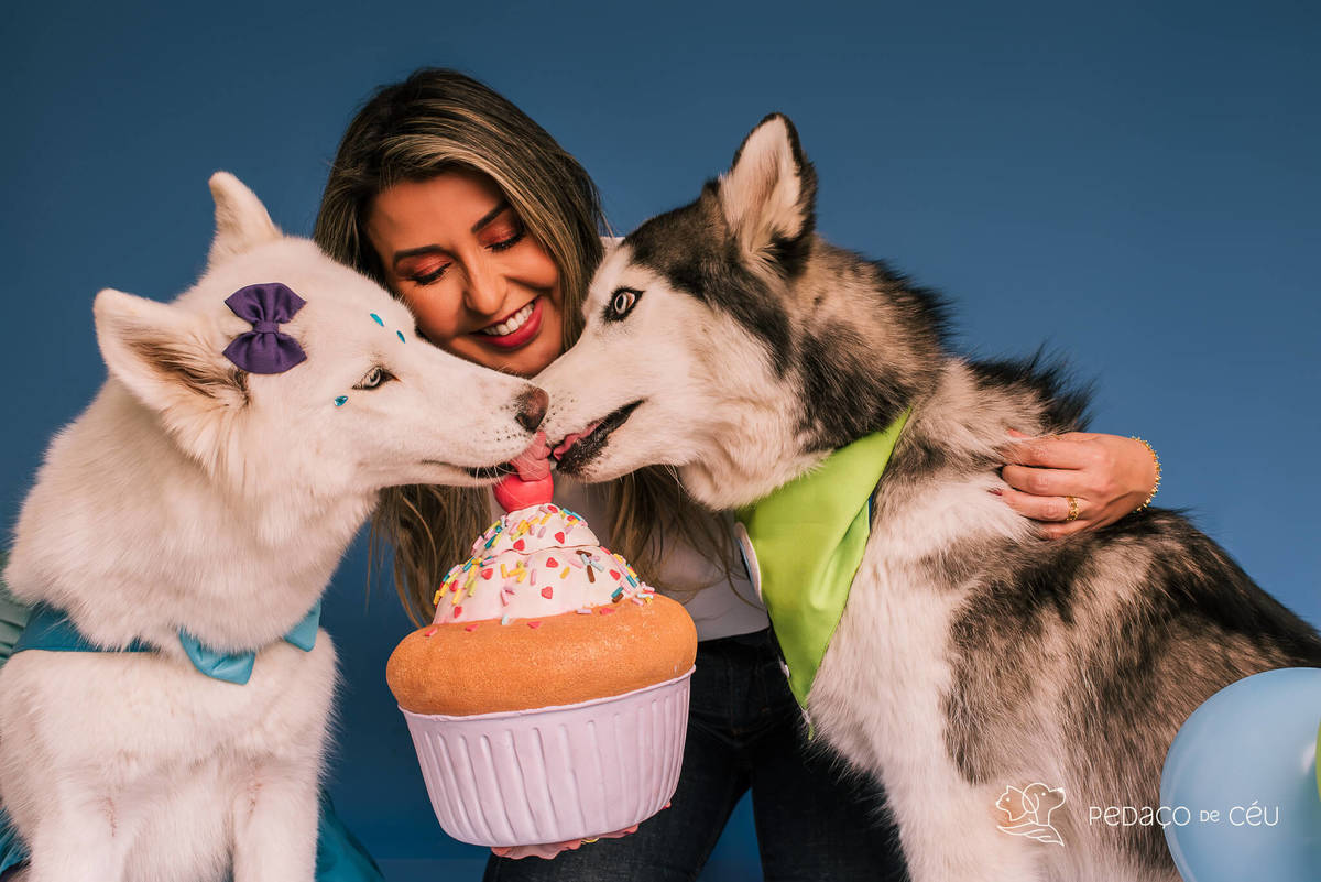 Foto de dois huskies em ensaio pet de aniversário com cenário especial montado pela tutora no RJ