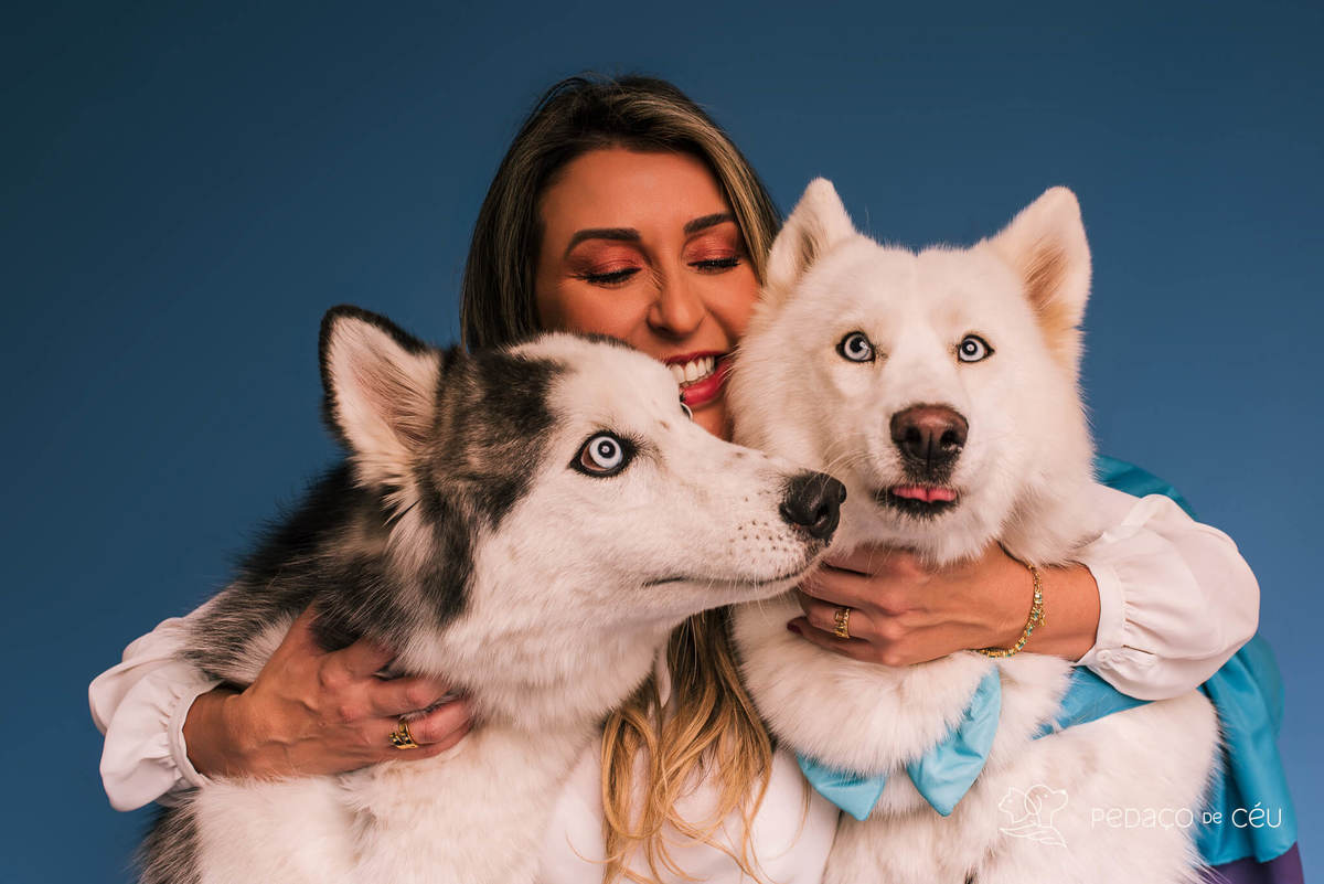 Foto de dois huskies em ensaio pet de aniversário com cenário especial montado pela tutora no RJ