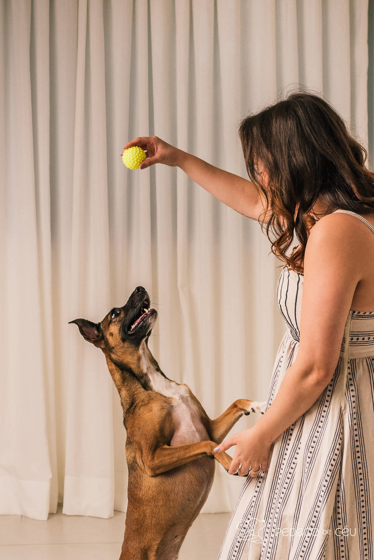 Ensaio atemporal com SRD adotada e sua tutora em estúdio de fotografia pet no Rio de Janeiro