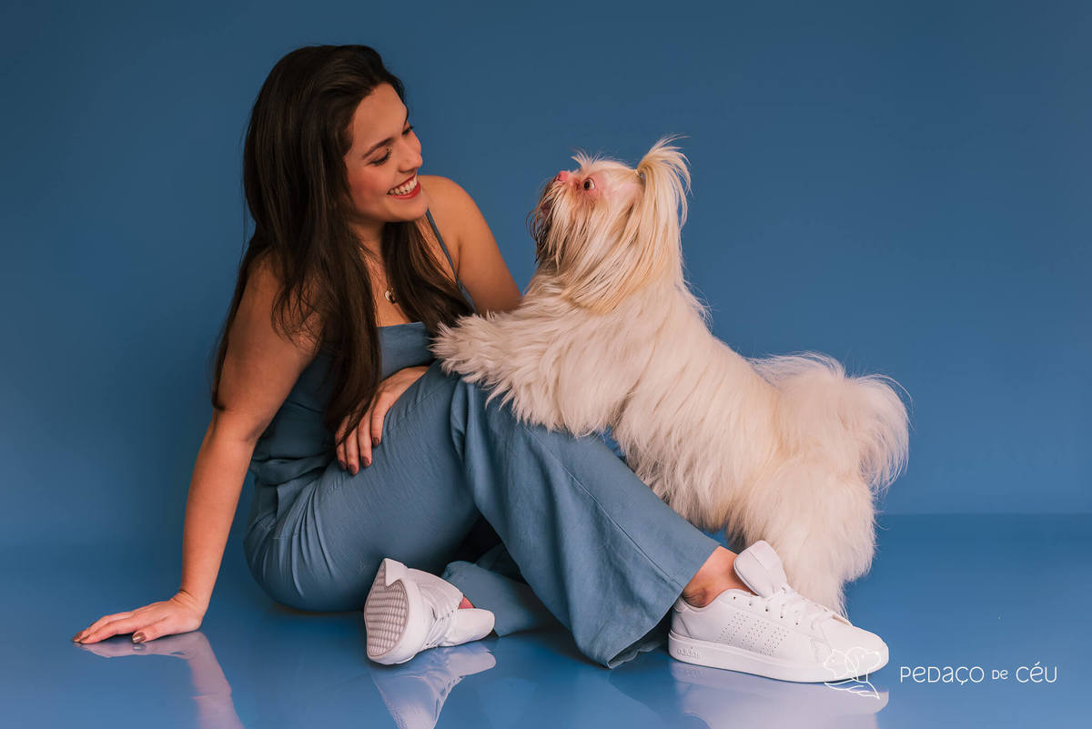 Foto divertida de cachorro em ensaio pet com fundo azul e tema de realeza no Rio de Janeiro