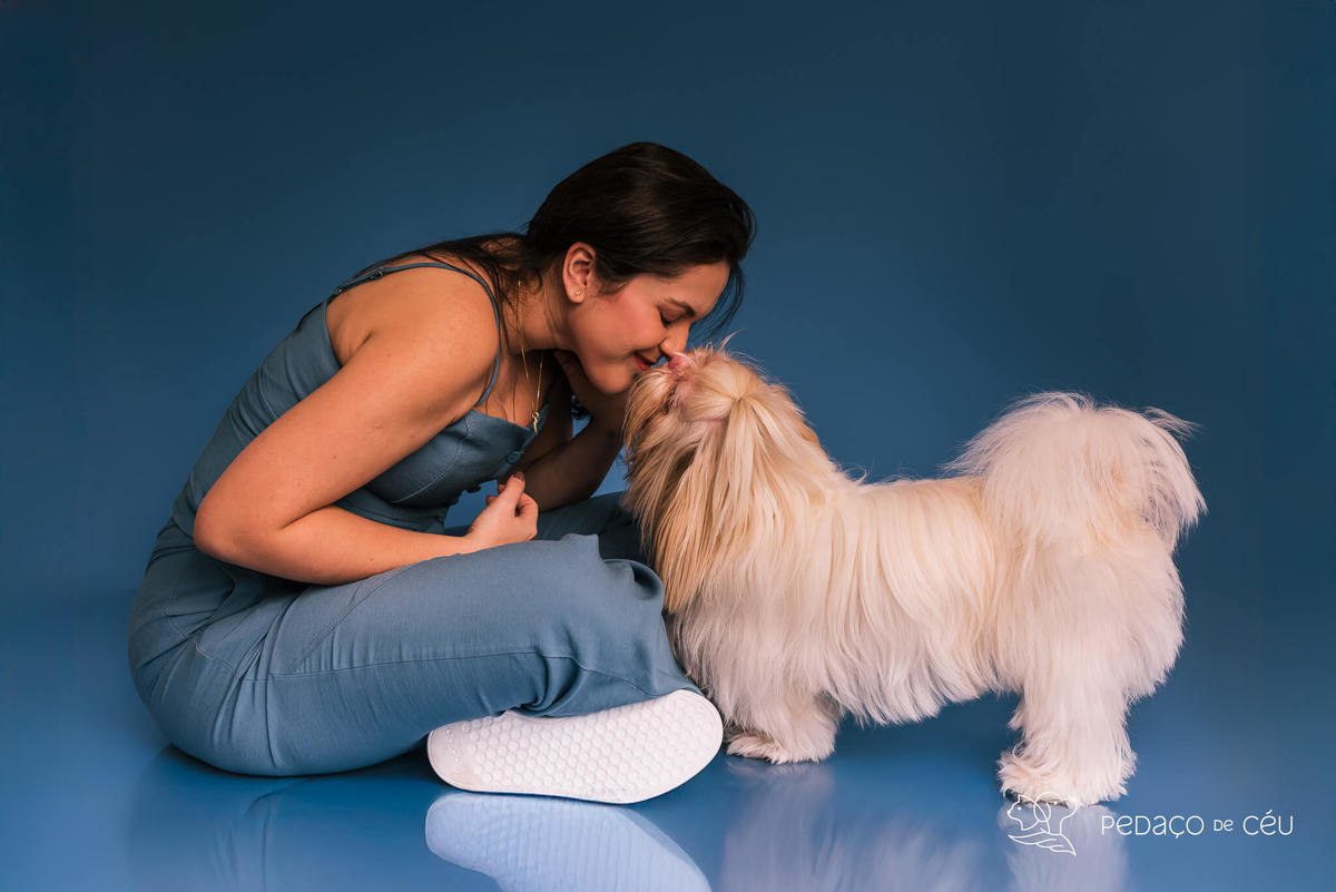 Foto divertida de cachorro em ensaio pet com fundo azul e tema de realeza no Rio de Janeiro
