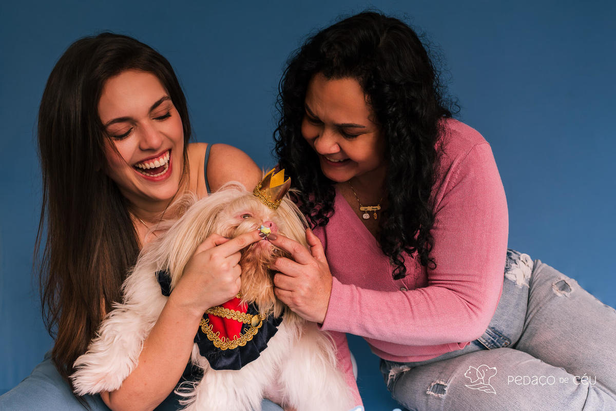 Foto divertida de cachorro em ensaio pet com fundo azul e tema de realeza no Rio de Janeiro