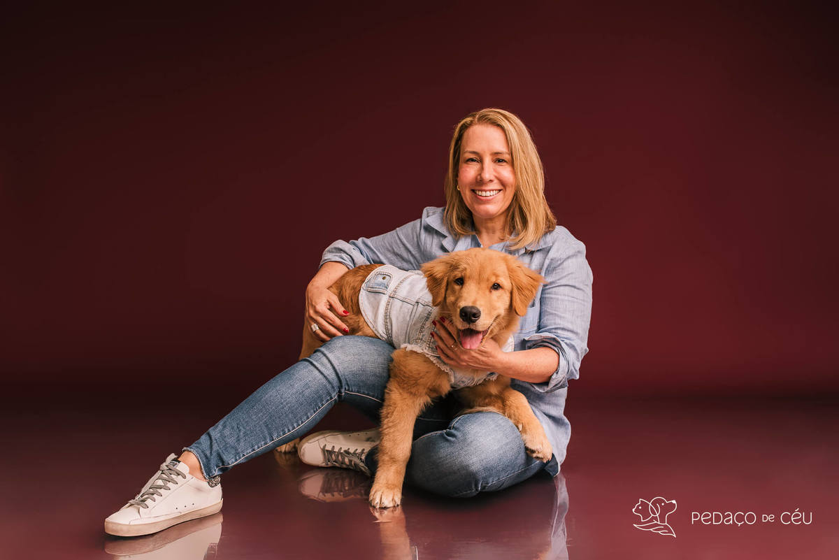 Ensaio de golden retriever filhote brincalhona no estúdio Colors & Fun RJ