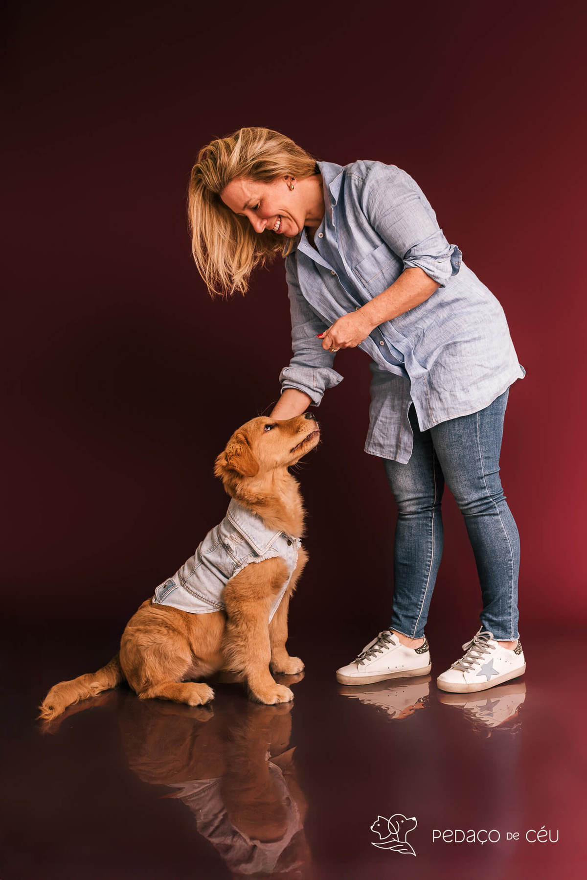 Ensaio de golden retriever filhote brincalhona no estúdio Colors & Fun RJ