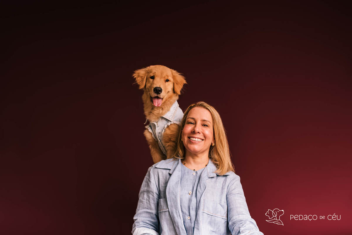 Ensaio de golden retriever filhote brincalhona no estúdio Colors & Fun RJ