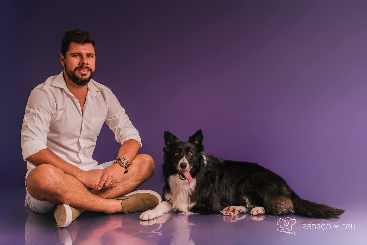 Border collie de 6 anos em ensaio fotográfico divertido no estúdio pet RJ