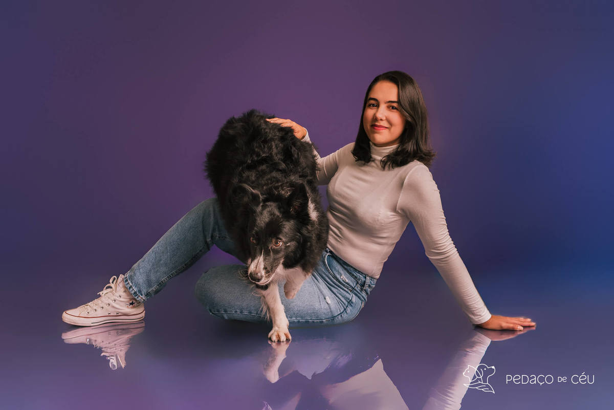 Border collie de 6 anos em ensaio fotográfico divertido no estúdio pet RJ