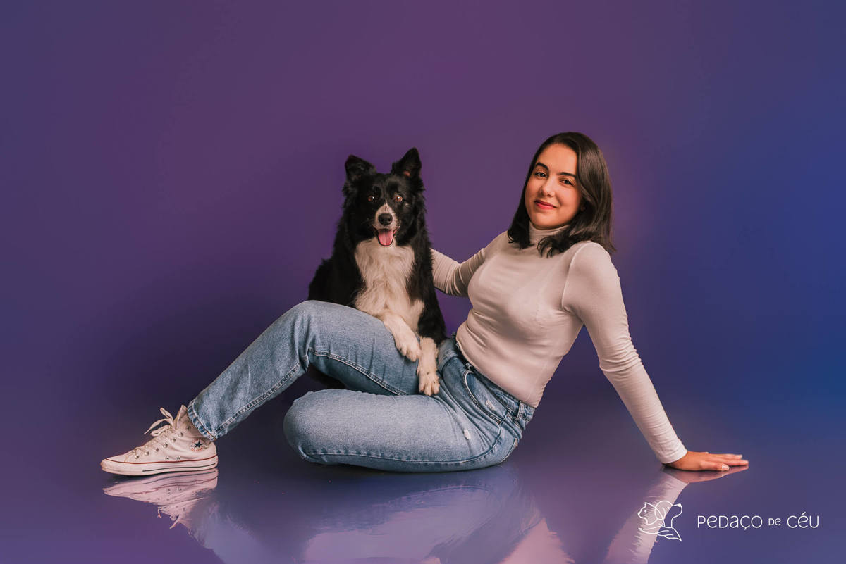 Border collie de 6 anos em ensaio fotográfico divertido no estúdio pet RJ