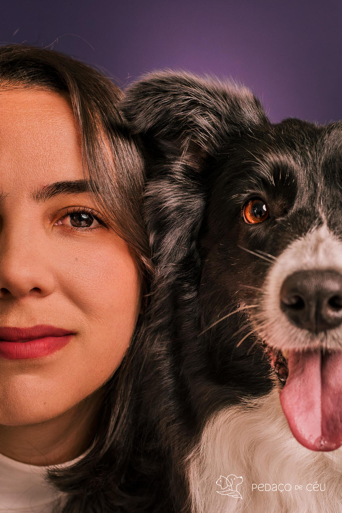 Border collie de 6 anos em ensaio fotográfico divertido no estúdio pet RJ