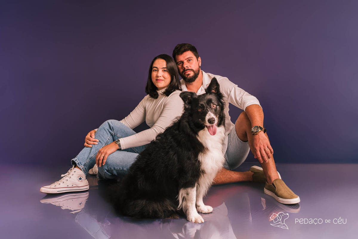 Border collie de 6 anos em ensaio fotográfico divertido no estúdio pet RJ