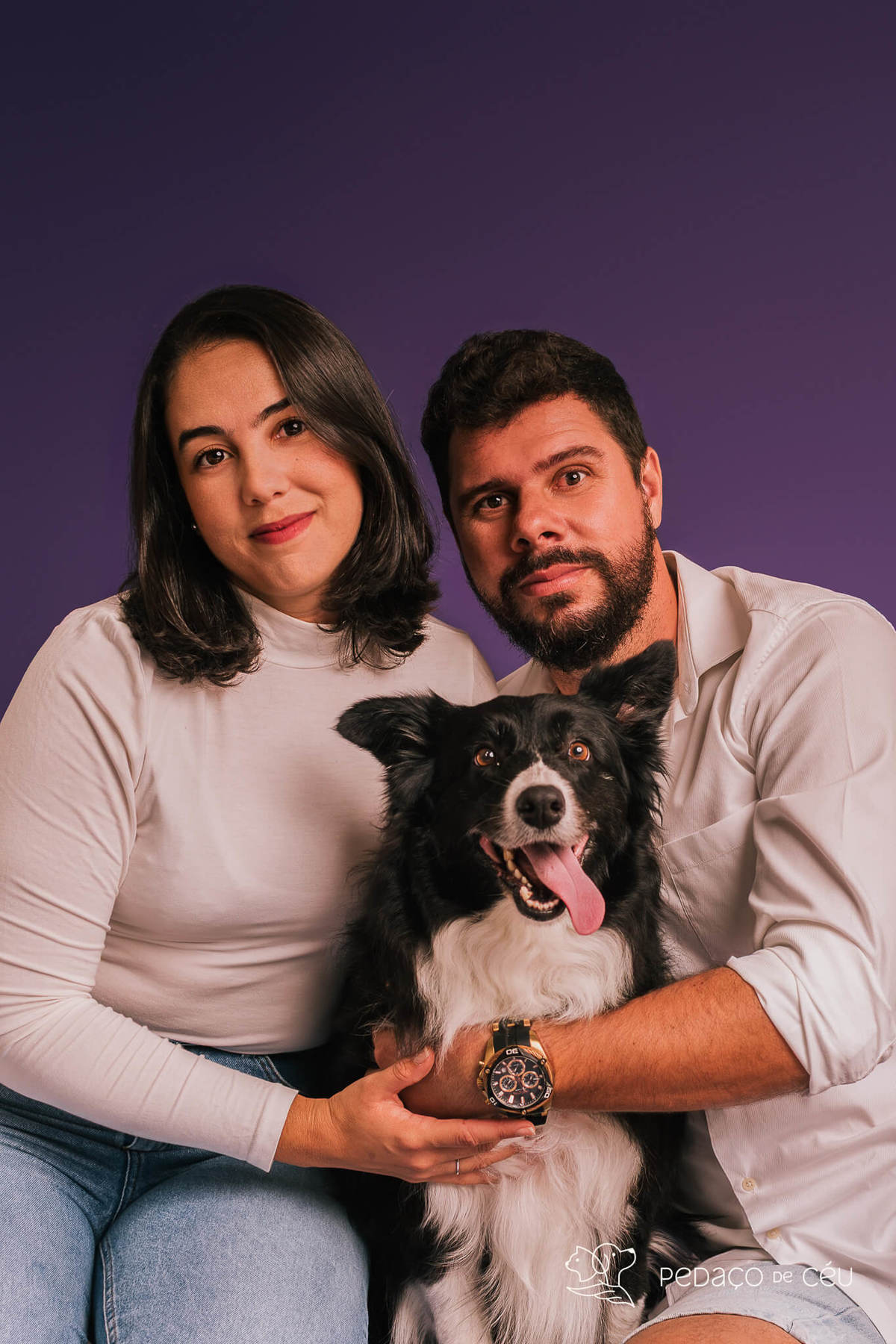 Border collie de 6 anos em ensaio fotográfico divertido no estúdio pet RJ