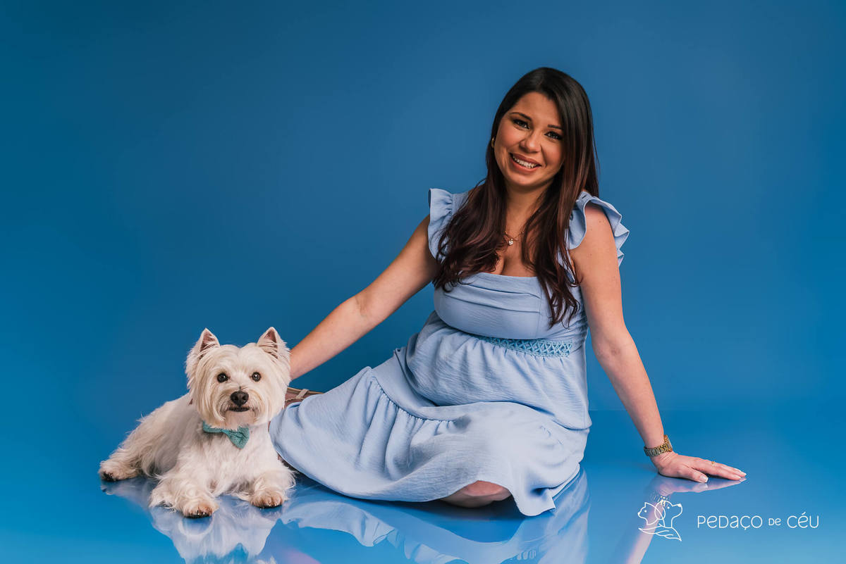 Westie em ensaio fotográfico com tutores e gestante no cenário azul no RJ