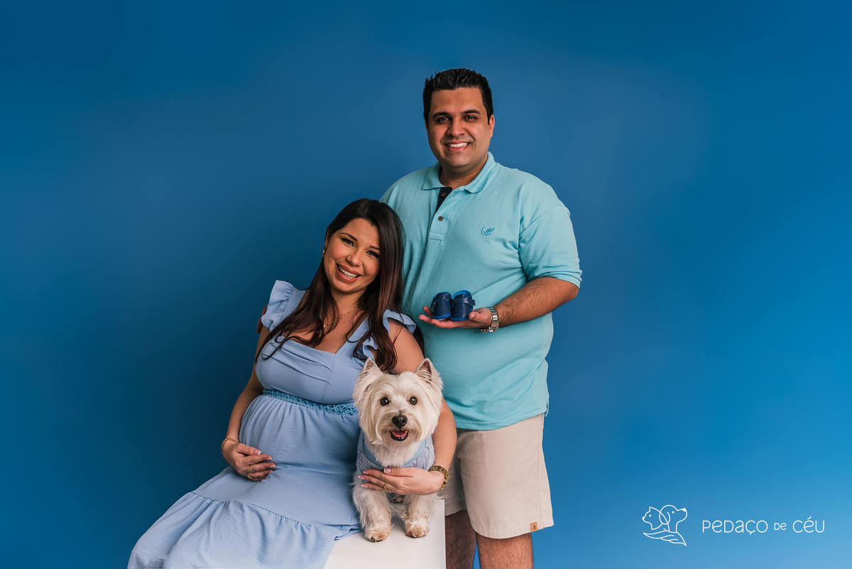Westie em ensaio fotográfico com tutores e gestante no cenário azul no RJ