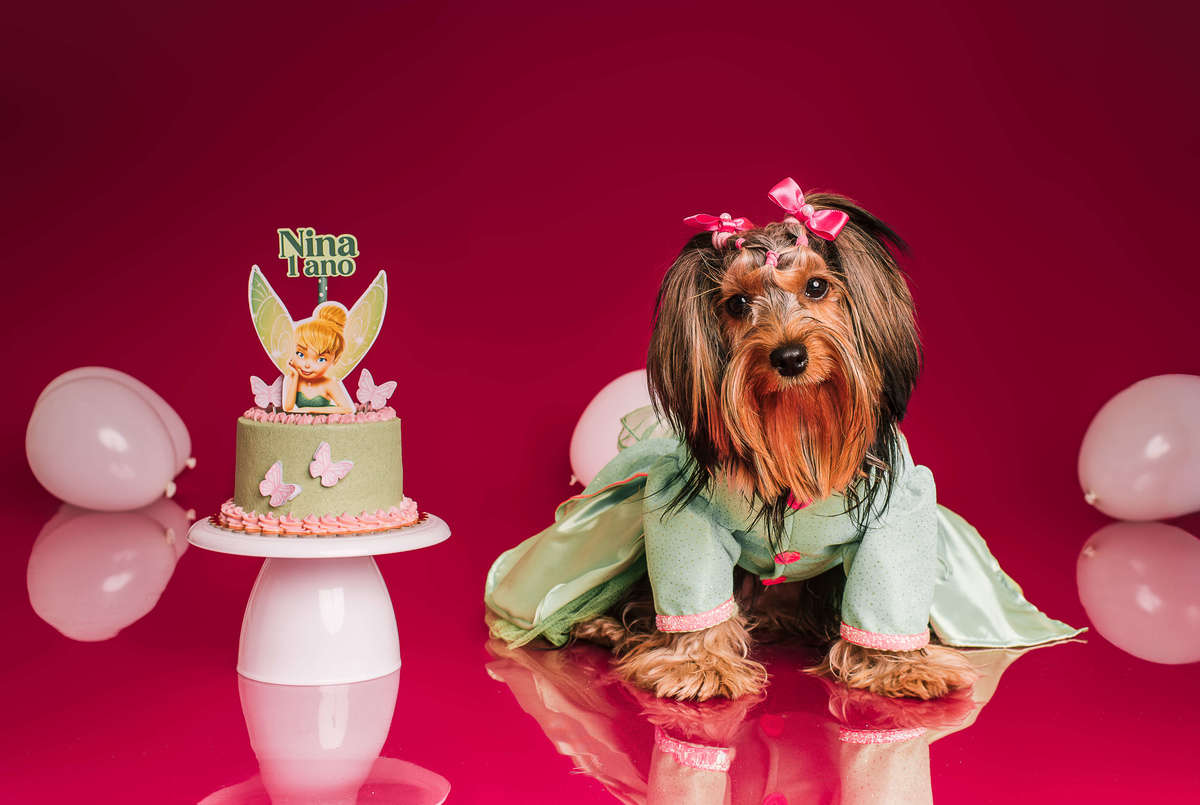 Nina yorkeshire aniversario