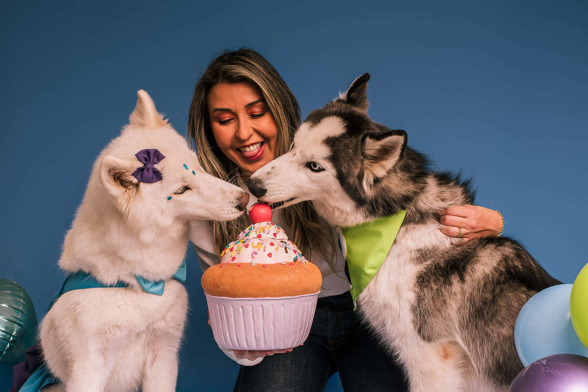 Huskies de olhos marcantes em ensaio temático Monstros S.A. no estúdio pet Rio de Janeiro