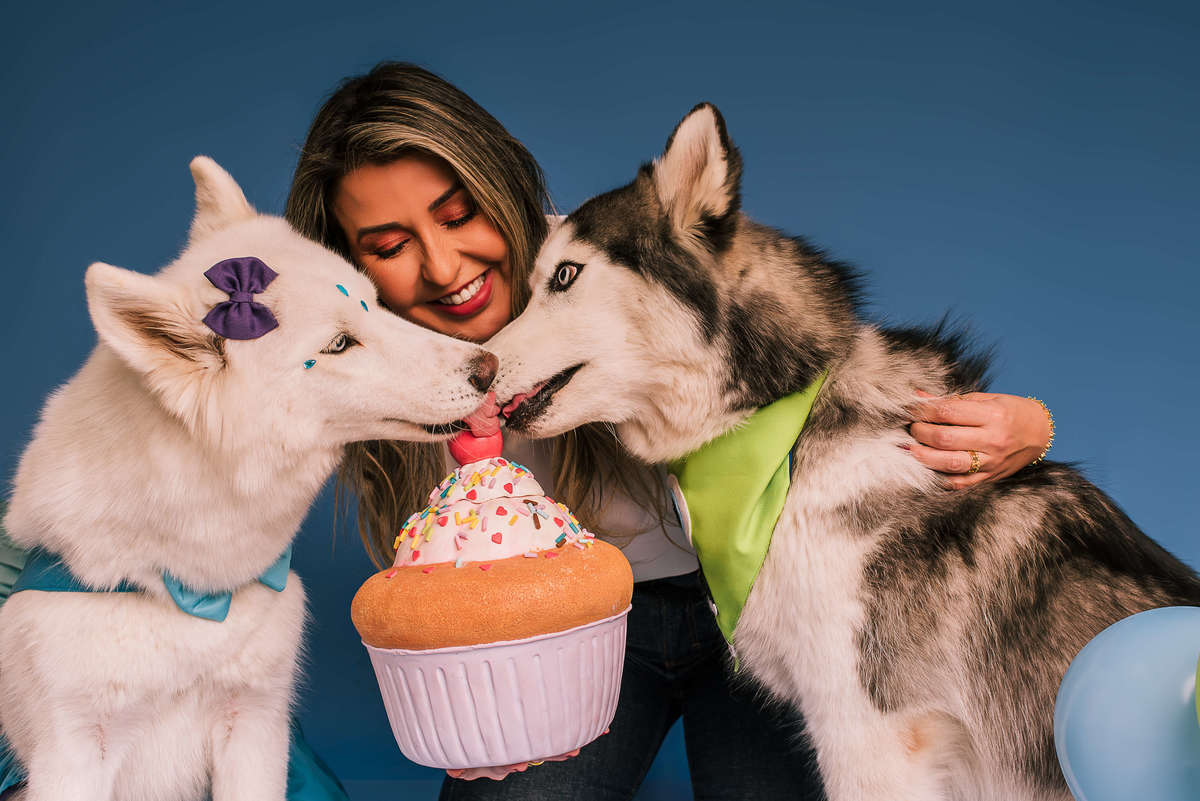 Huskies de olhos marcantes em ensaio temático Monstros S.A. no estúdio pet Rio de Janeiro
