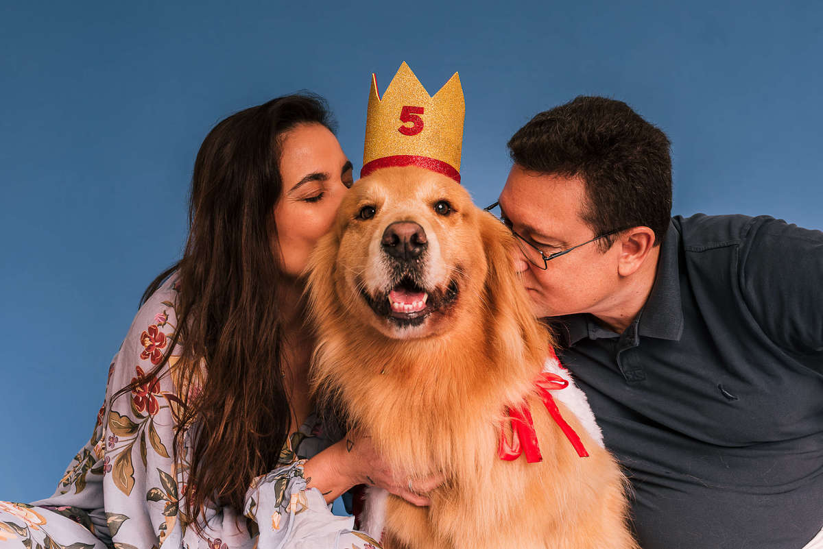 Golden retriever Phelps vestido de Pequeno Príncipe em ensaio de aniversário no estúdio Pedaço de Céu RJ