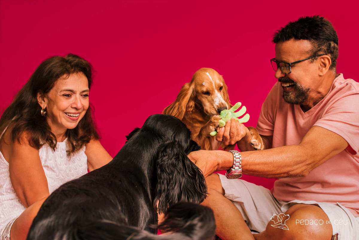 Bela e Mel - Colors - Barra da Tijuca/Rio de JaneiroBela e Mel - Colors - Barra da Tijuca/Rio de Janeiro