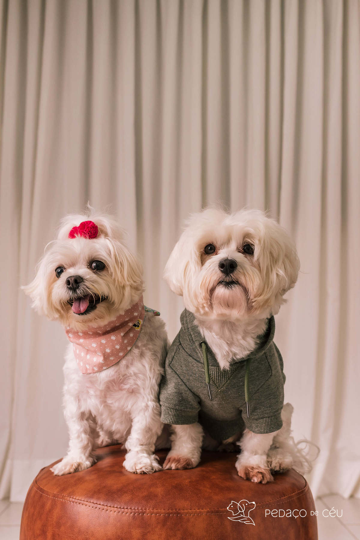 Teca e Bambam - Atemporal - Barra da Tijuca/Rio de Janeiro