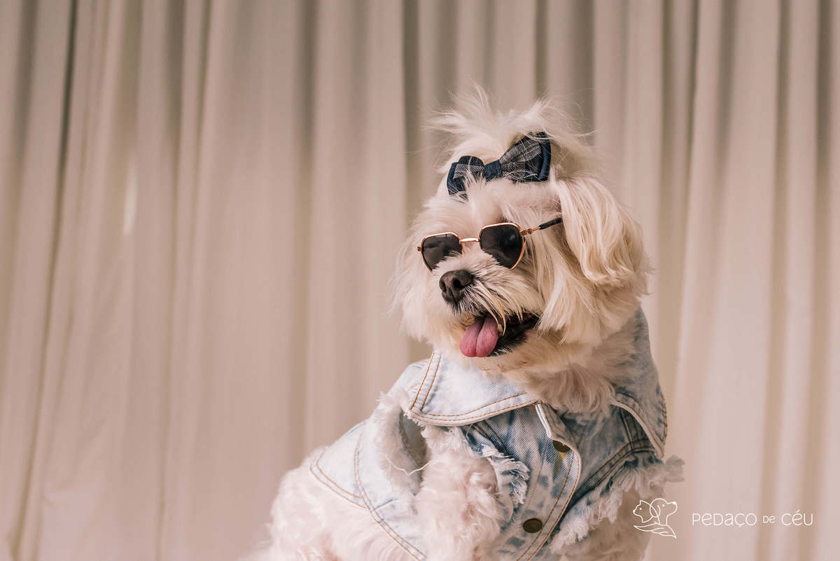 Teca e Bambam - Atemporal - Barra da Tijuca/Rio de Janeiro