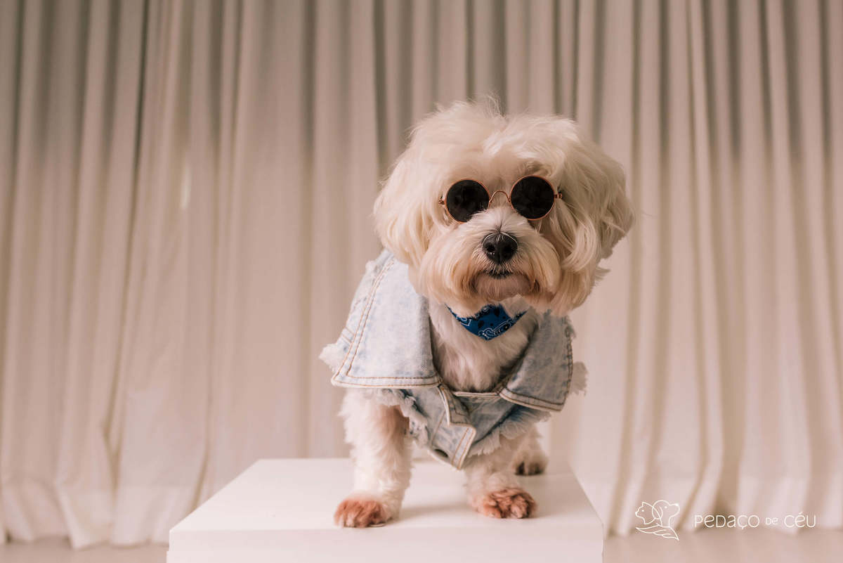 Teca e Bambam - Atemporal - Barra da Tijuca/Rio de Janeiro