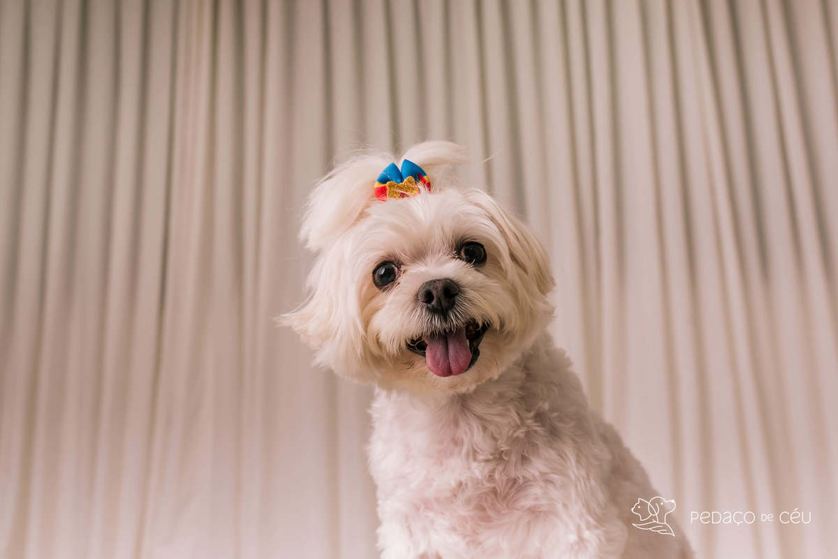 Teca e Bambam - Atemporal - Barra da Tijuca/Rio de Janeiro