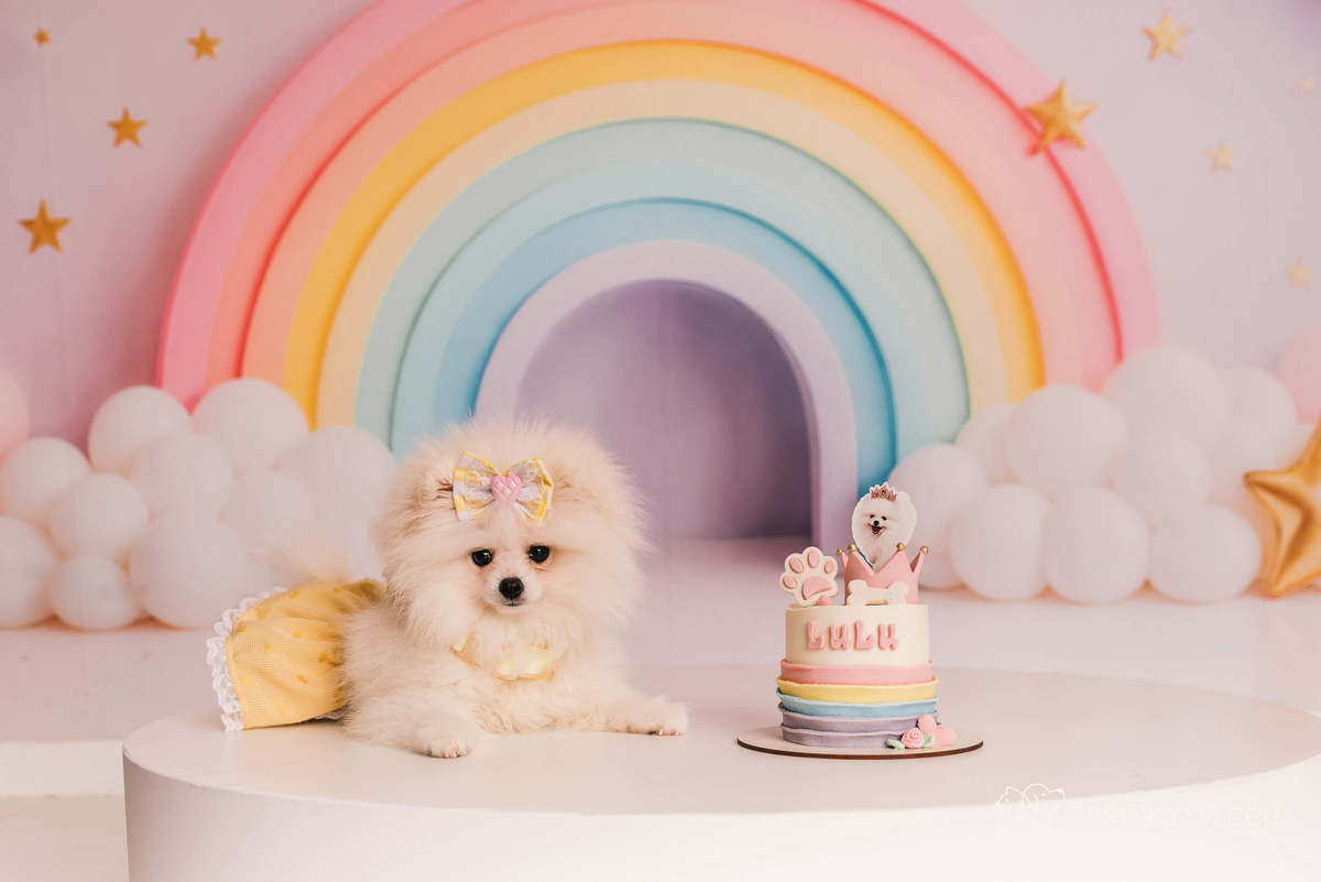 Luiza - Smash the cake - Barra da Tijuca/Rio de Janeiro