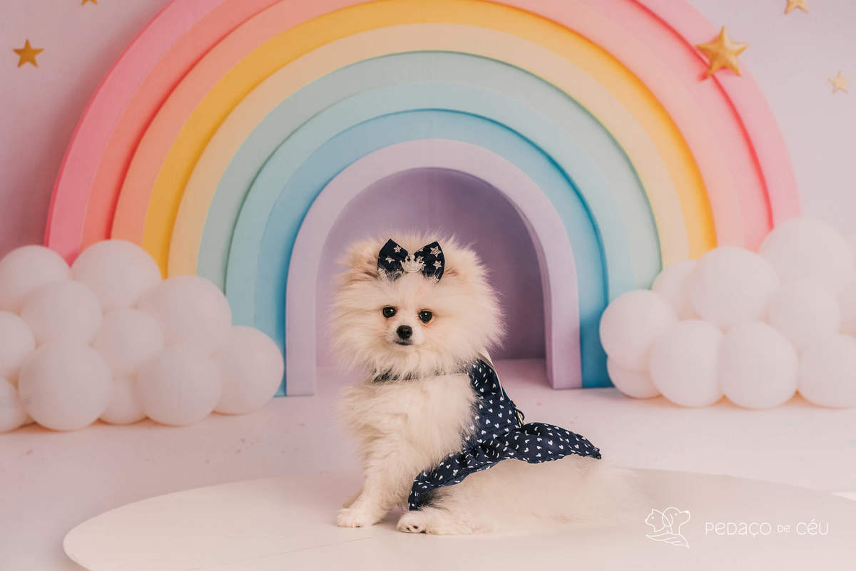 Luiza - Smash the cake - Barra da Tijuca/Rio de Janeiro