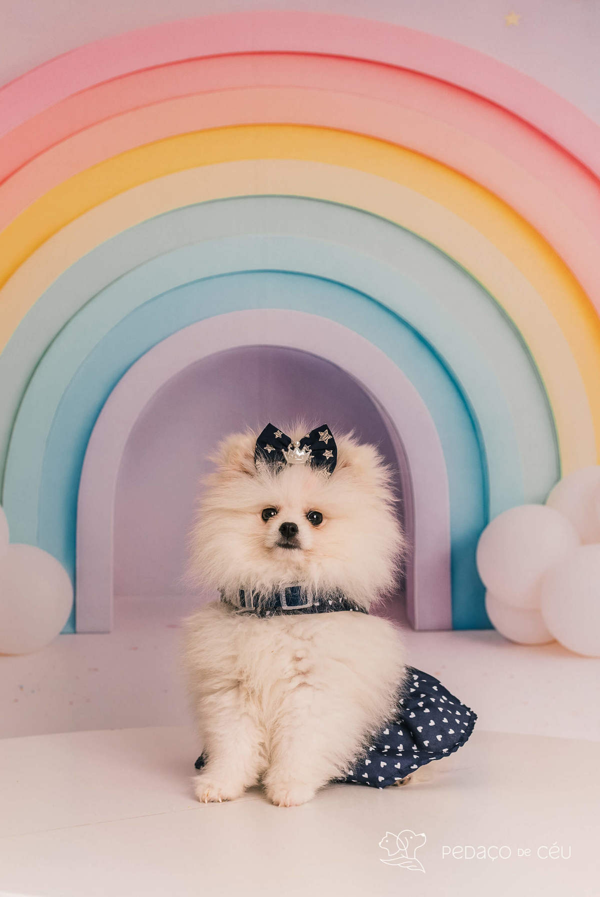 Luiza - Smash the cake - Barra da Tijuca/Rio de Janeiro