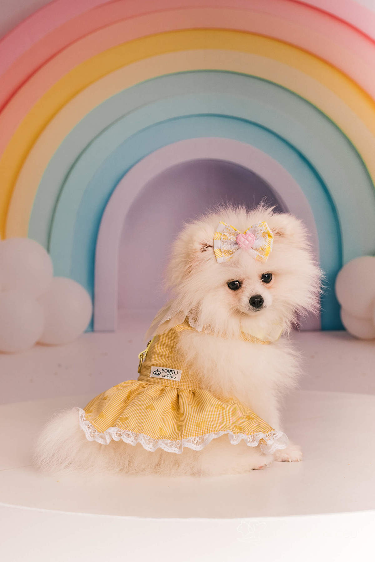 Luiza - Smash the cake - Barra da Tijuca/Rio de Janeiro