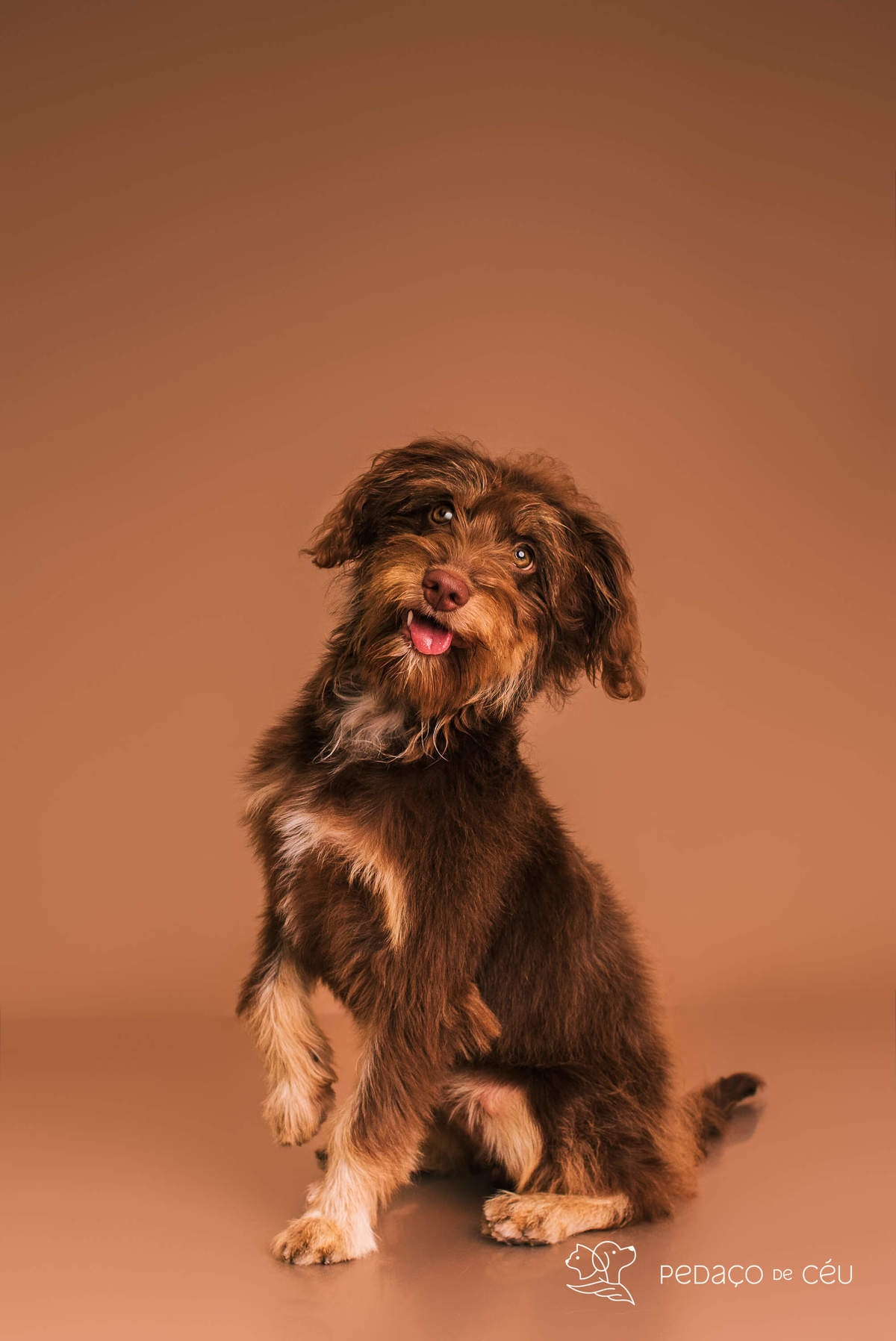 Cacau e Nira - Colors - Barra da Tijuca/Rio de Janeiro 
